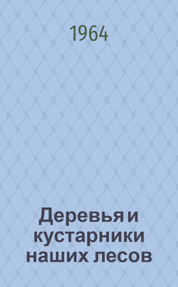 Деревья и кустарники наших лесов