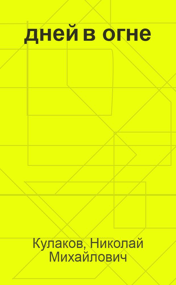 250 дней в огне