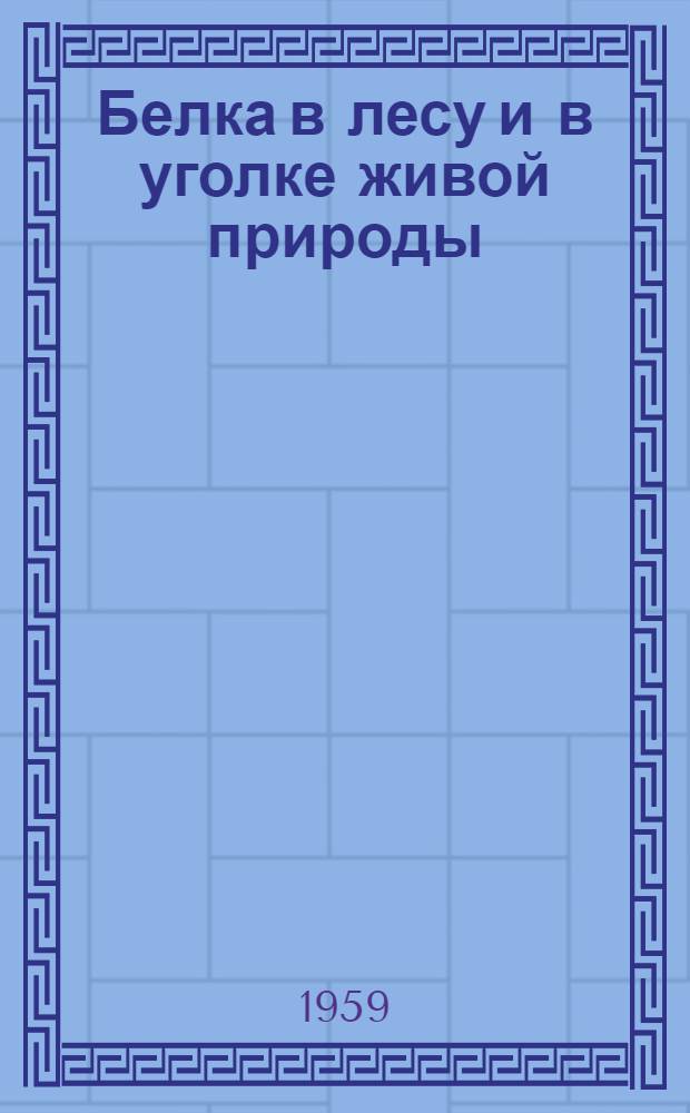 Белка в лесу и в уголке живой природы