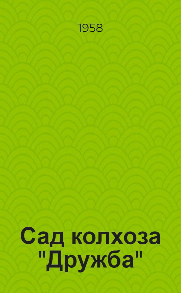 Сад колхоза "Дружба" : Мензелинский район