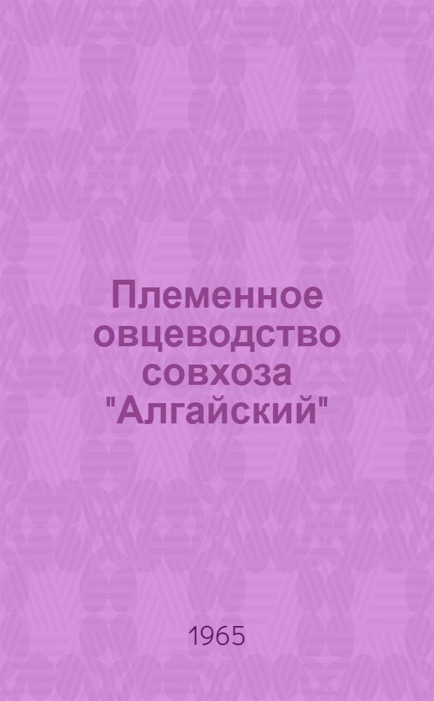 Племенное овцеводство совхоза "Алгайский"
