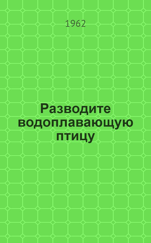 Разводите водоплавающую птицу : Перевод