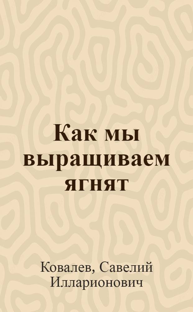 Как мы выращиваем ягнят