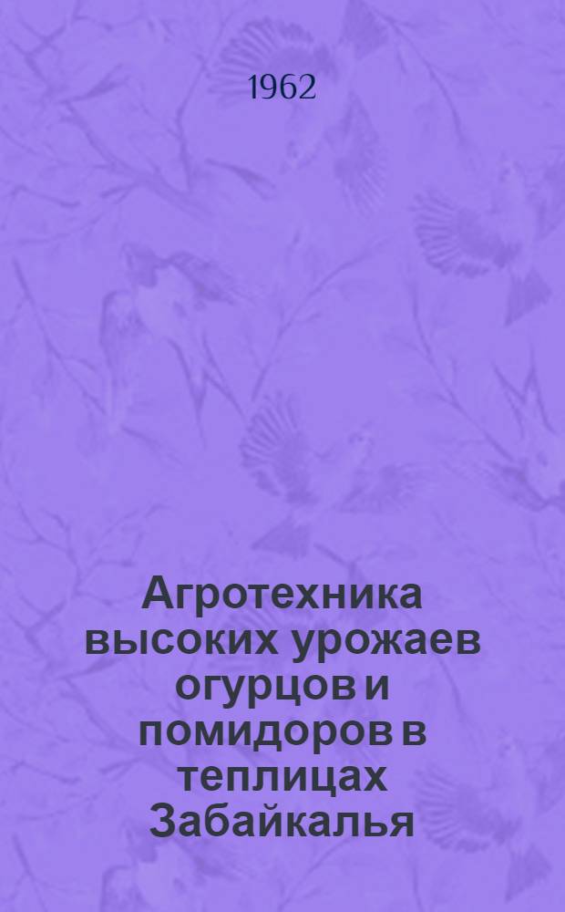 Агротехника высоких урожаев огурцов и помидоров в теплицах Забайкалья
