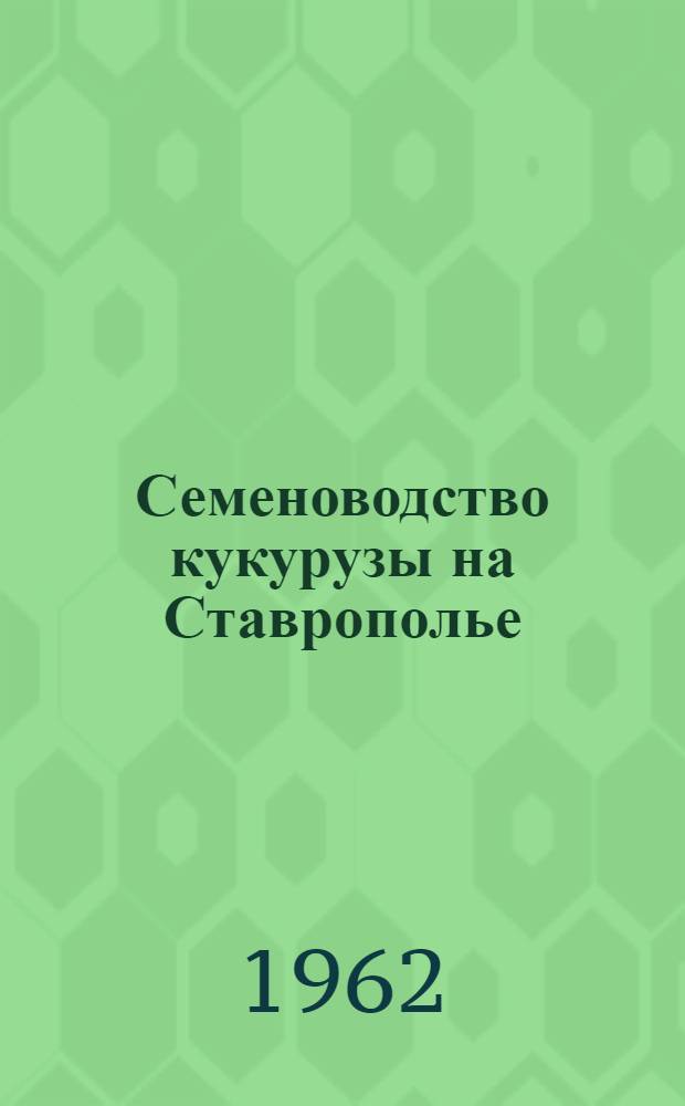 Семеноводство кукурузы на Ставрополье
