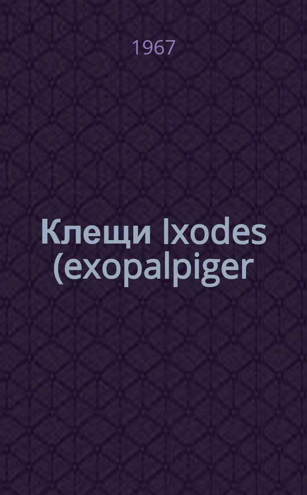 Клещи Ixodes (exopalpiger) trianguliceps Bir. в природном очаге клещевого энцефалита южнотаежных лесов Западно-Сибирской равнины : Автореферат дис. на соискание ученой степени кандидата биологических наук