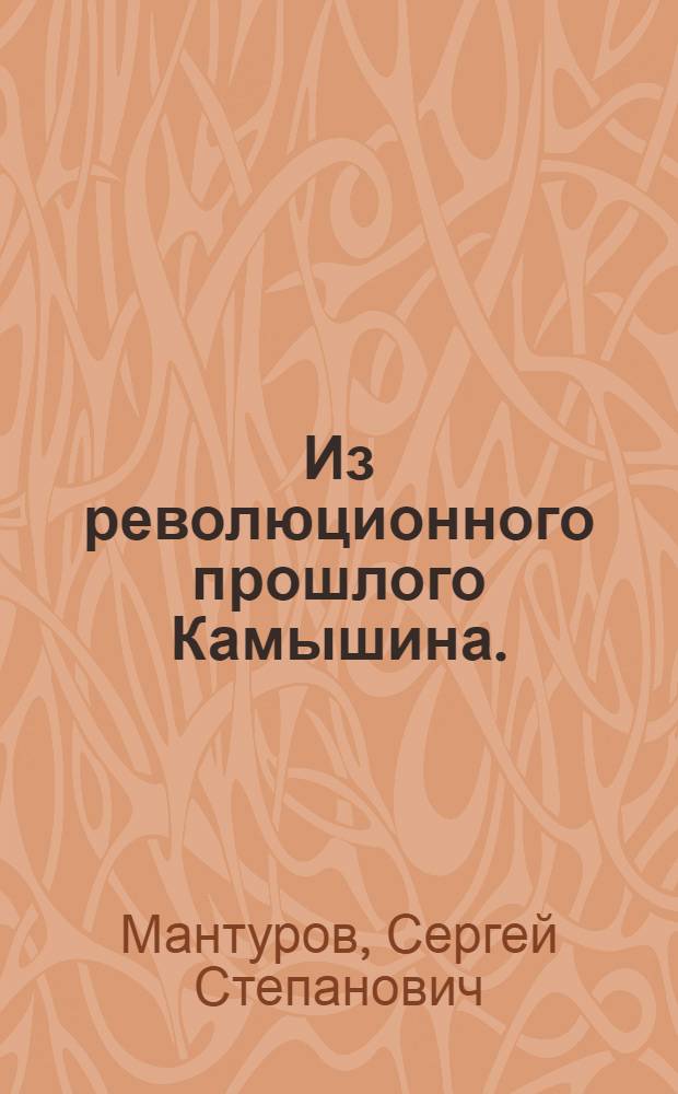 Из революционного прошлого Камышина. (1905-1920 гг.)