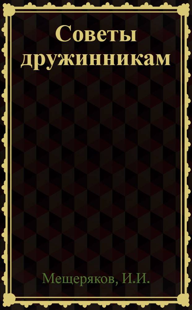 Советы дружинникам