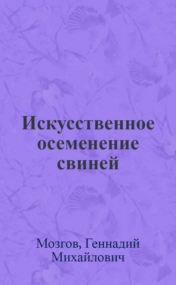 Искусственное осеменение свиней