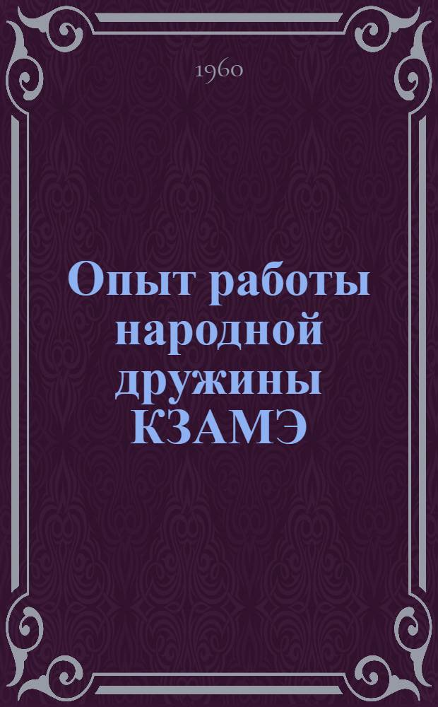 Опыт работы народной дружины КЗАМЭ