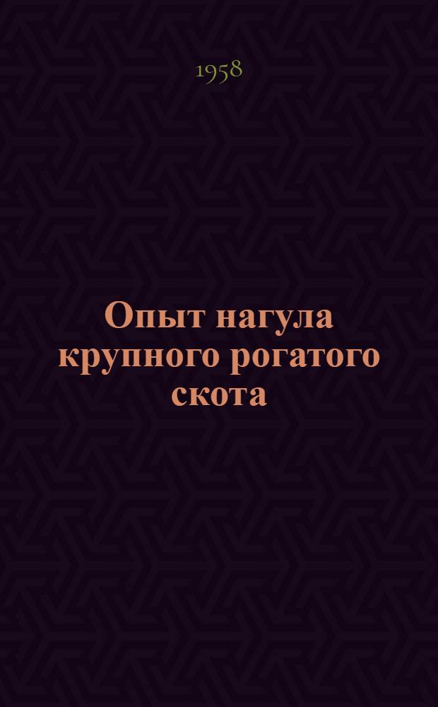 Опыт нагула крупного рогатого скота