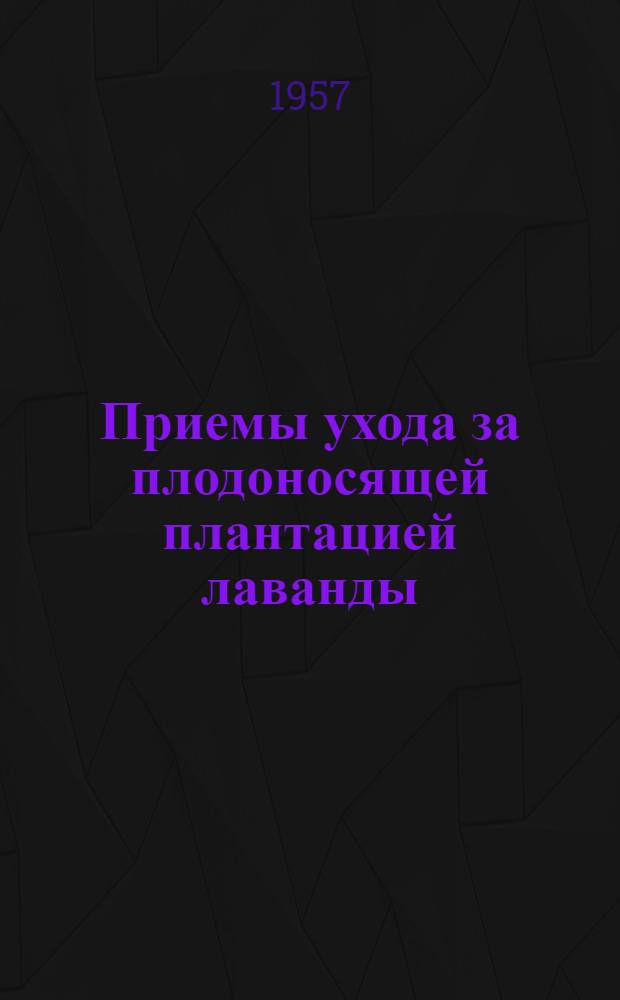 Приемы ухода за плодоносящей плантацией лаванды