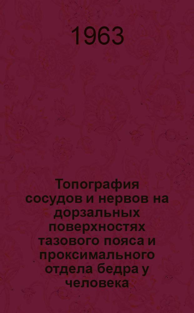 Топография сосудов и нервов на дорзальных поверхностях тазового пояса и проксимального отдела бедра у человека : Автореферат дис. на соискание ученой степени кандидата медицинских наук