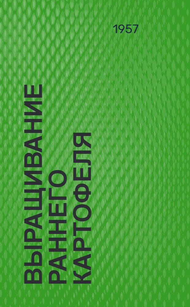 Выращивание раннего картофеля