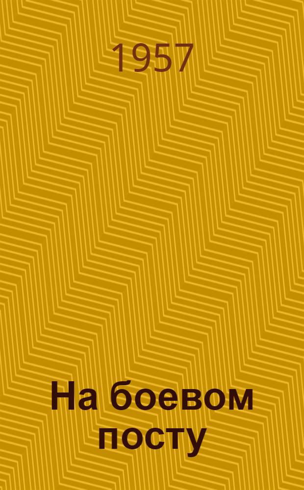 На боевом посту : Очерк о бойце пожарной дружины С.М. Костикове