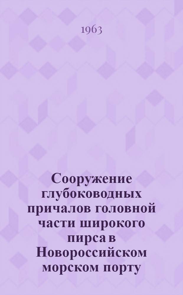 Сооружение глубоководных причалов головной части широкого пирса в Новороссийском морском порту