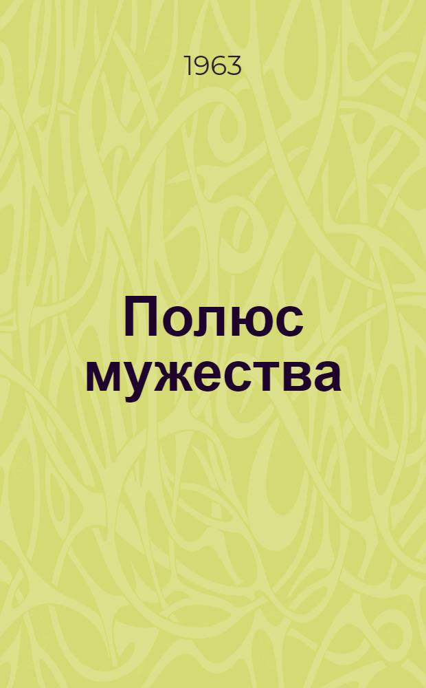 Полюс мужества : О строителях Братской ГЭС