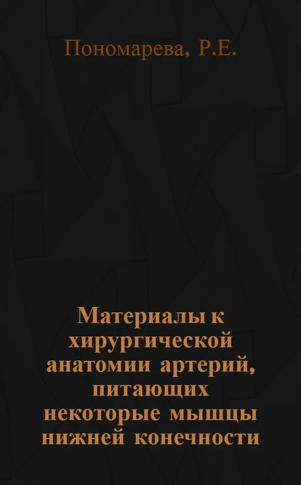 Материалы к хирургической анатомии артерий, питающих некоторые мышцы нижней конечности : Автореферат дис. на соискание учен. степени канд. мед. наук