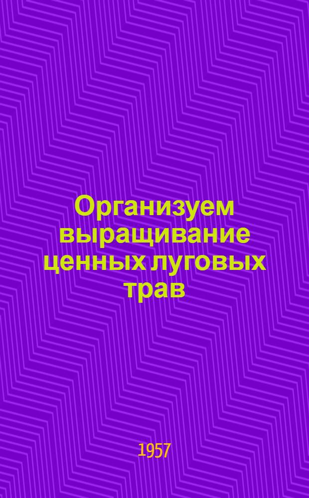 Организуем выращивание ценных луговых трав