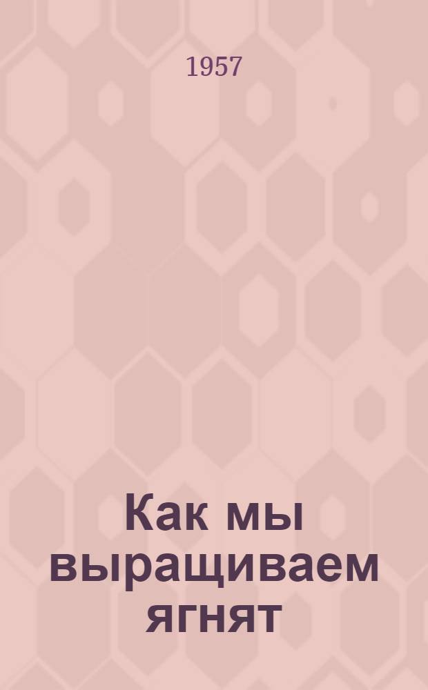 Как мы выращиваем ягнят