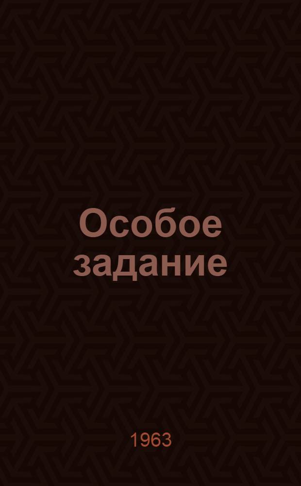 Особое задание : Партизанские записки