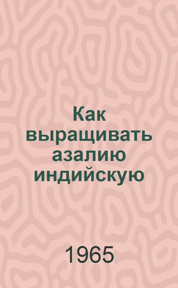 Как выращивать азалию индийскую