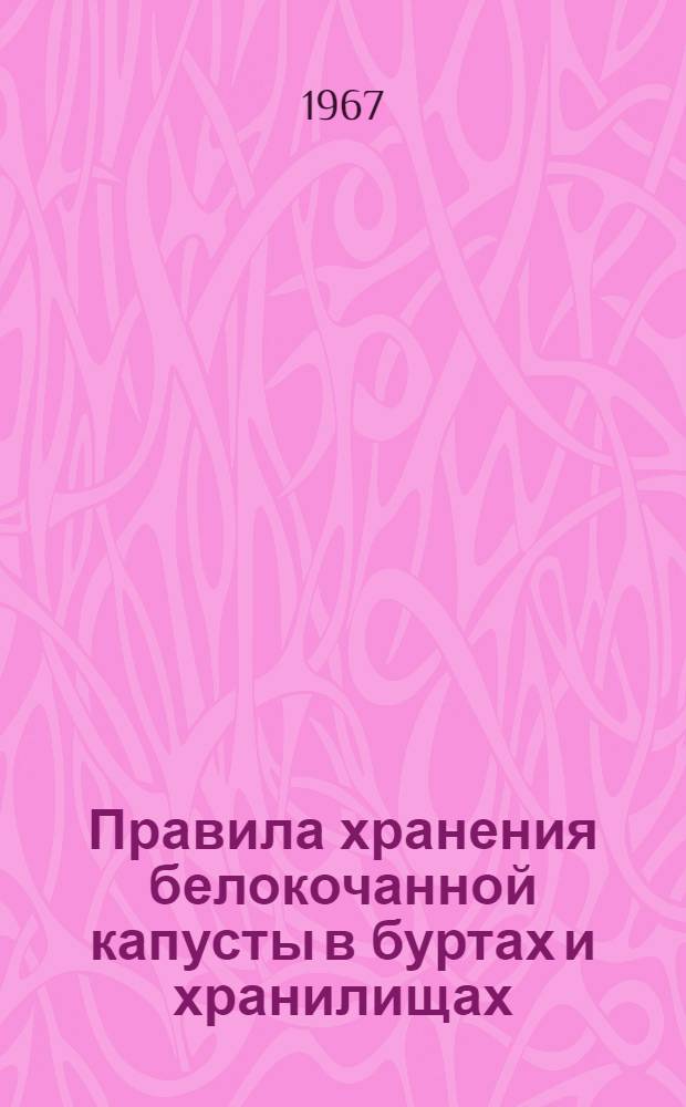 Правила хранения белокочанной капусты в буртах и хранилищах