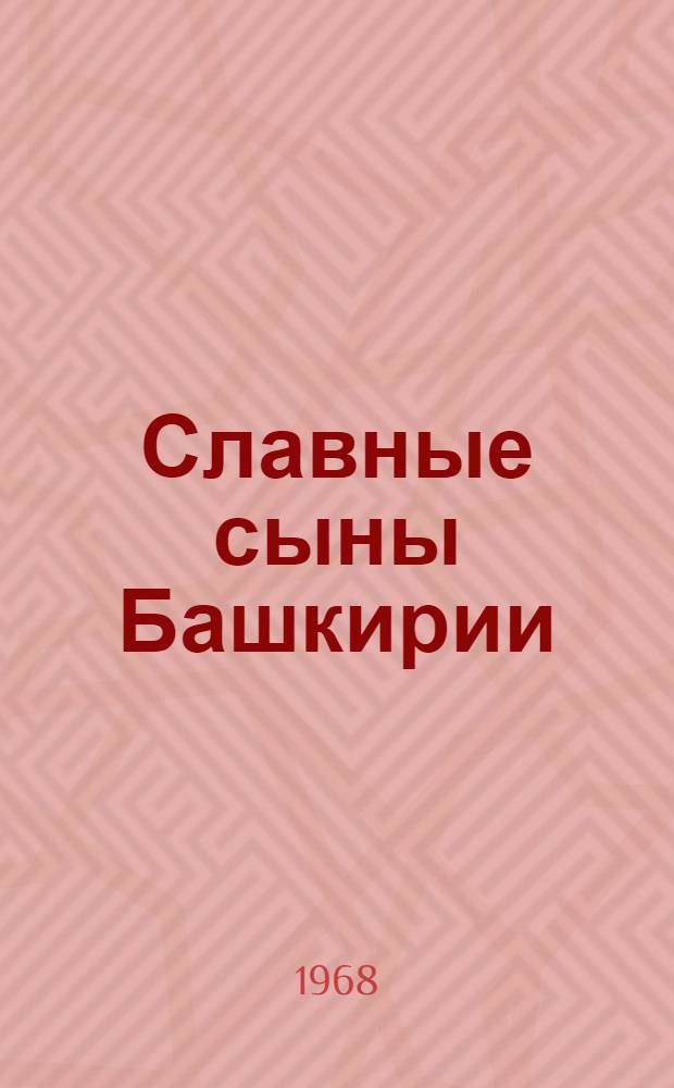 Славные сыны Башкирии : Очерки о Героях Советского Союза Кн. 1-3. Кн. 3