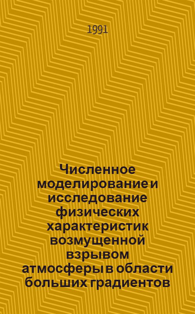 Численное моделирование и исследование физических характеристик возмущенной взрывом атмосферы в области больших градиентов : Автореф. дис. на соиск. учен. степ. канд. физ.-мат. наук : (01.02.05)