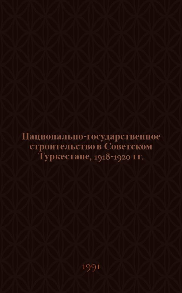 Национально-государственное строительство в Советском Туркестане, 1918-1920 гг. : Автореф. дис. на соиск. учен. степ. канд. ист. наук : (07.00.02)