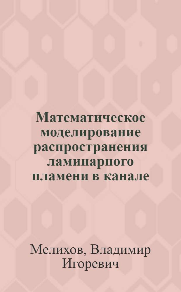 Математическое моделирование распространения ламинарного пламени в канале : Автореф. дис. на соиск. учен. степ. канд. физ.-мат. наук : (01.02.05)