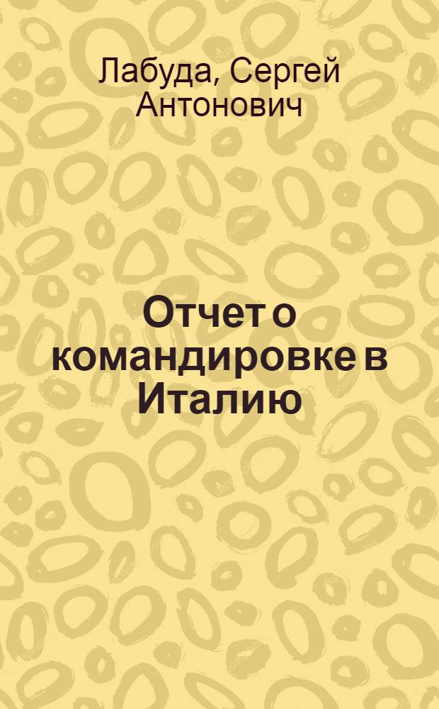 Отчет о командировке в Италию