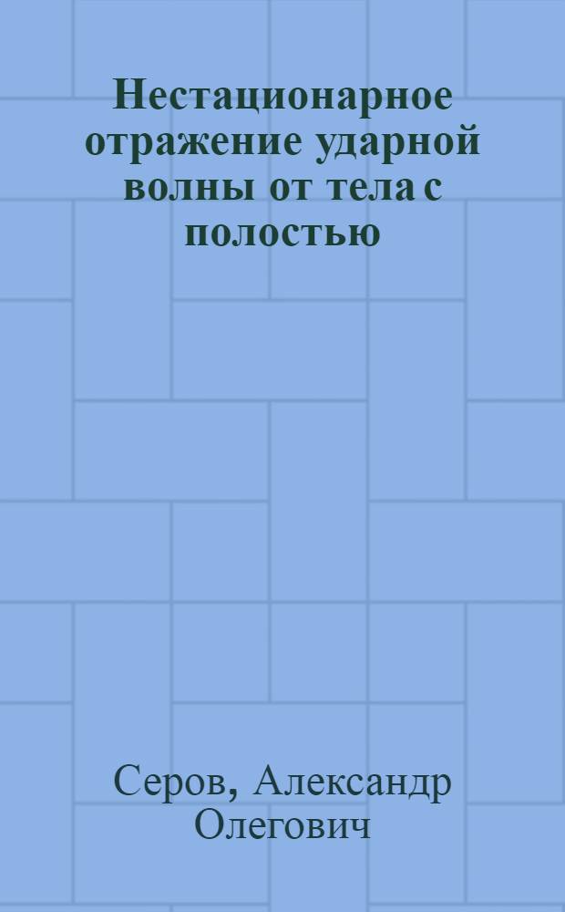 Нестационарное отражение ударной волны от тела с полостью : Автореф. дис. на соиск. учен. степ. канд. физ.-мат. наук : (01.04.14)