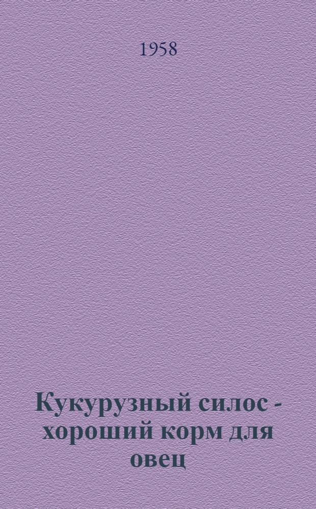 Кукурузный силос - хороший корм для овец : Из опыта передовых овцехозяйств