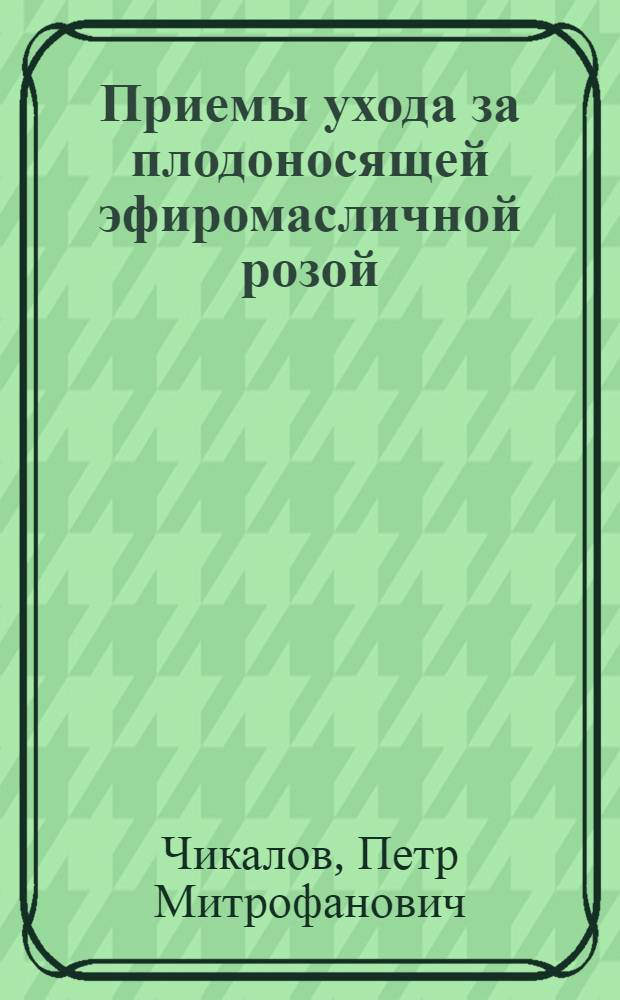 Приемы ухода за плодоносящей эфиромасличной розой