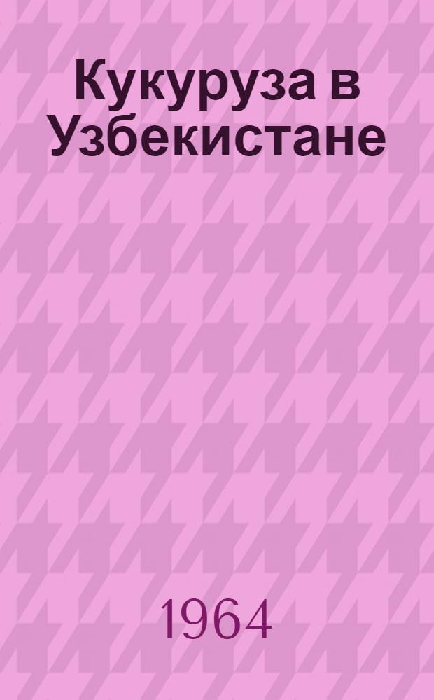 Кукуруза в Узбекистане