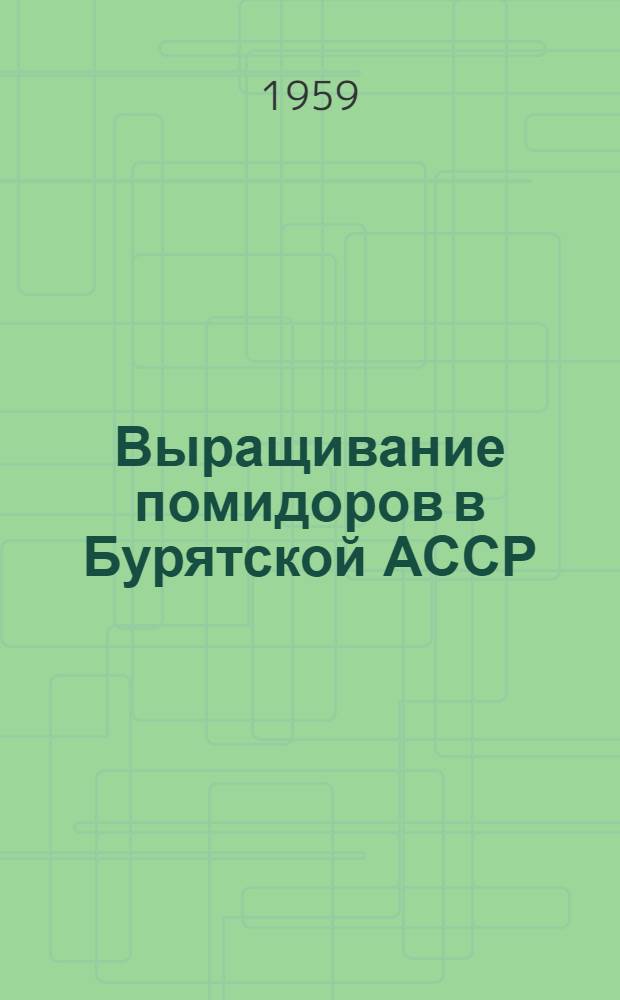Выращивание помидоров в Бурятской АССР