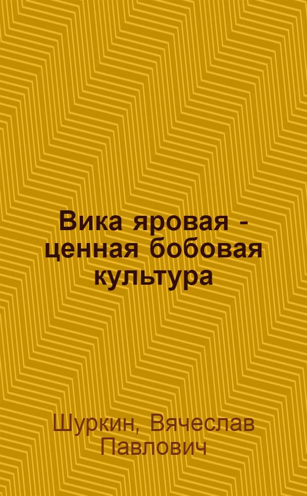 Вика яровая - ценная бобовая культура