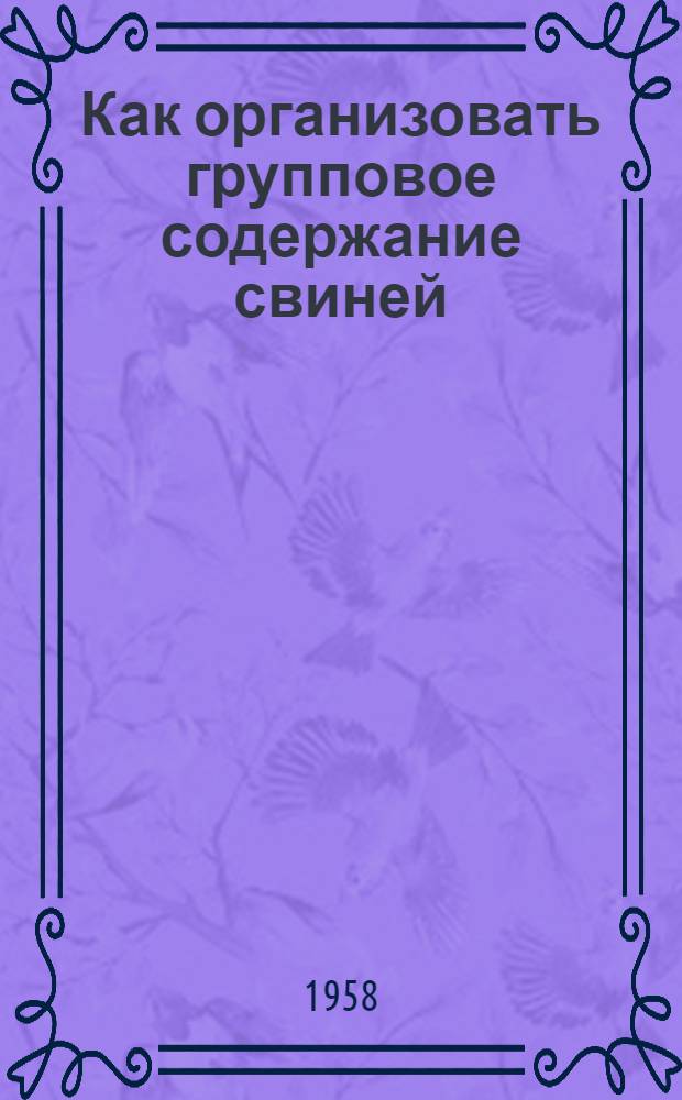 Как организовать групповое содержание свиней