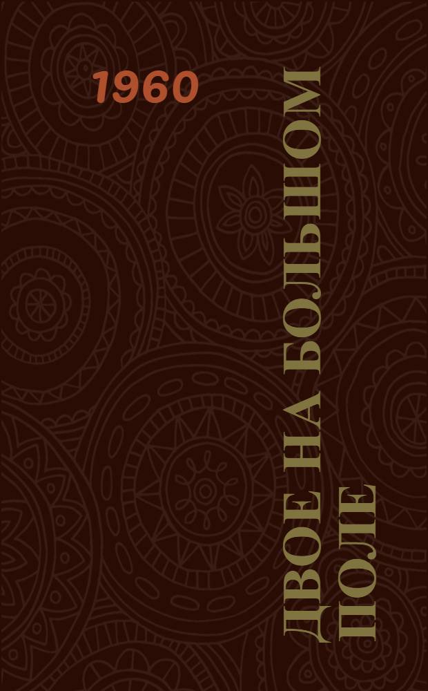 Двое на большом поле : О Герое Соц. Труда механизаторе Н.Ф. Мануковском : Для ст. возраста