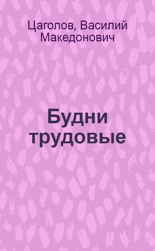 Будни трудовые : Из опыта работы парторганизации завода "Электроцинк"