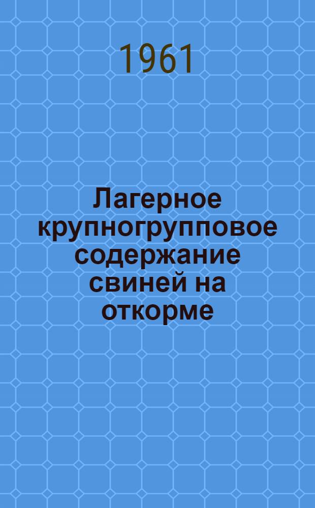 Лагерное крупногрупповое содержание свиней на откорме