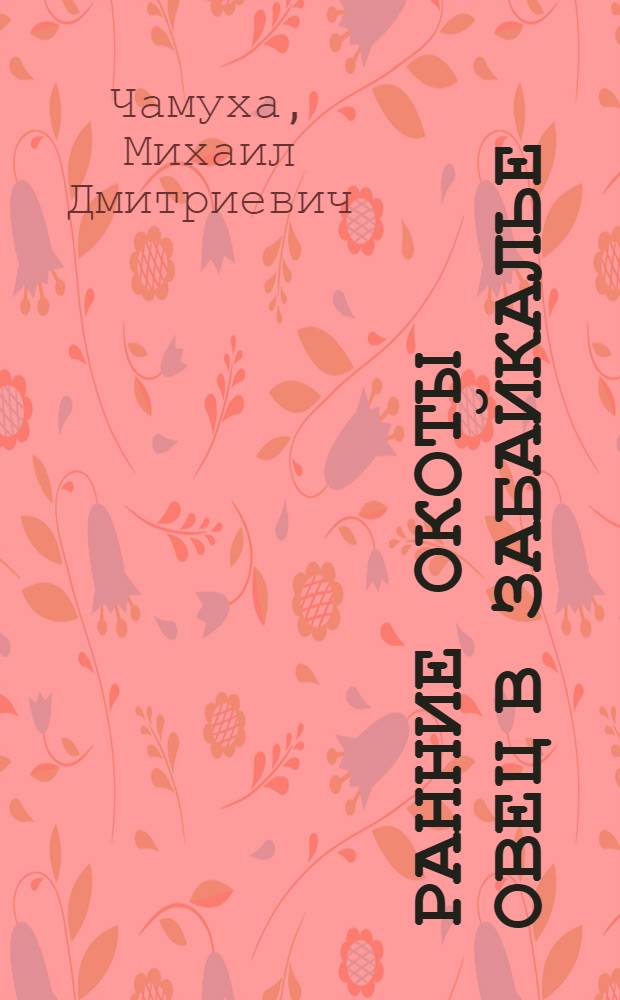 Ранние окоты овец в Забайкалье