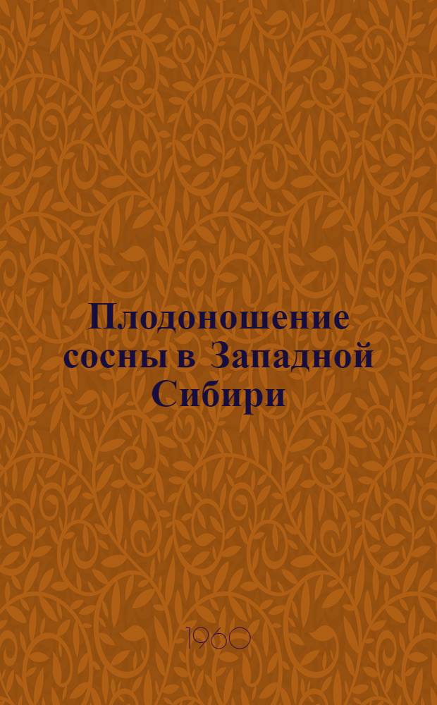Плодоношение сосны в Западной Сибири