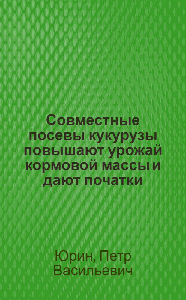 Совместные посевы кукурузы повышают урожай кормовой массы и дают початки