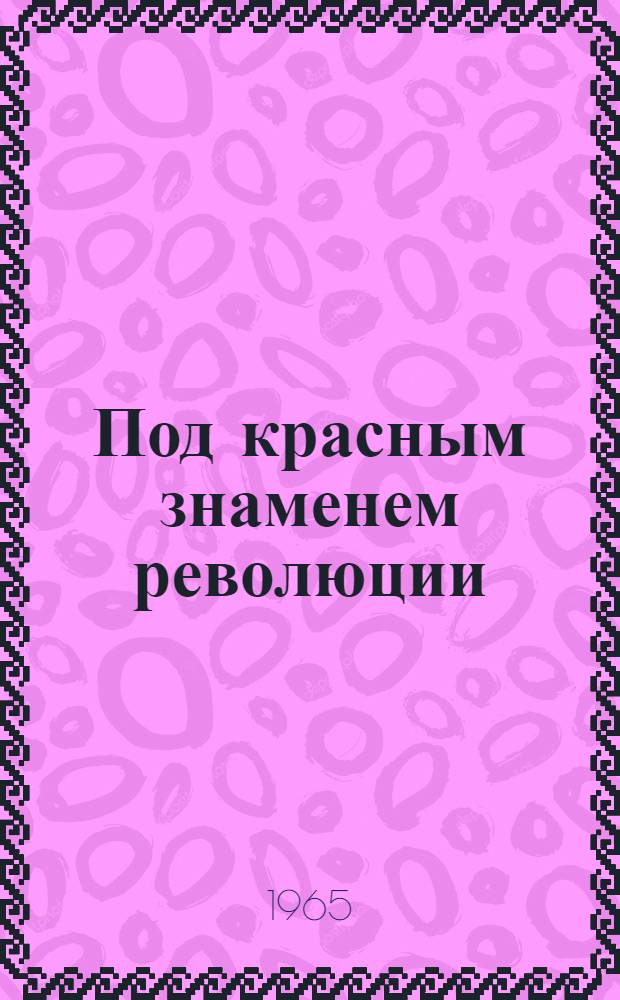 Под красным знаменем революции : (Страницы истории борьбы трудящихся Бессарабии за воссоединение с Советской Родиной)