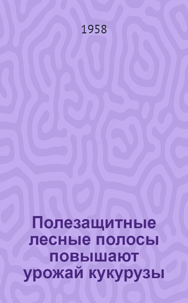 Полезащитные лесные полосы повышают урожай кукурузы