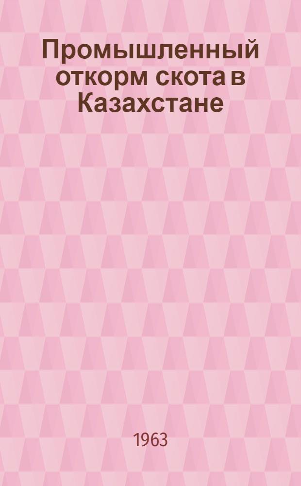 Промышленный откорм скота в Казахстане