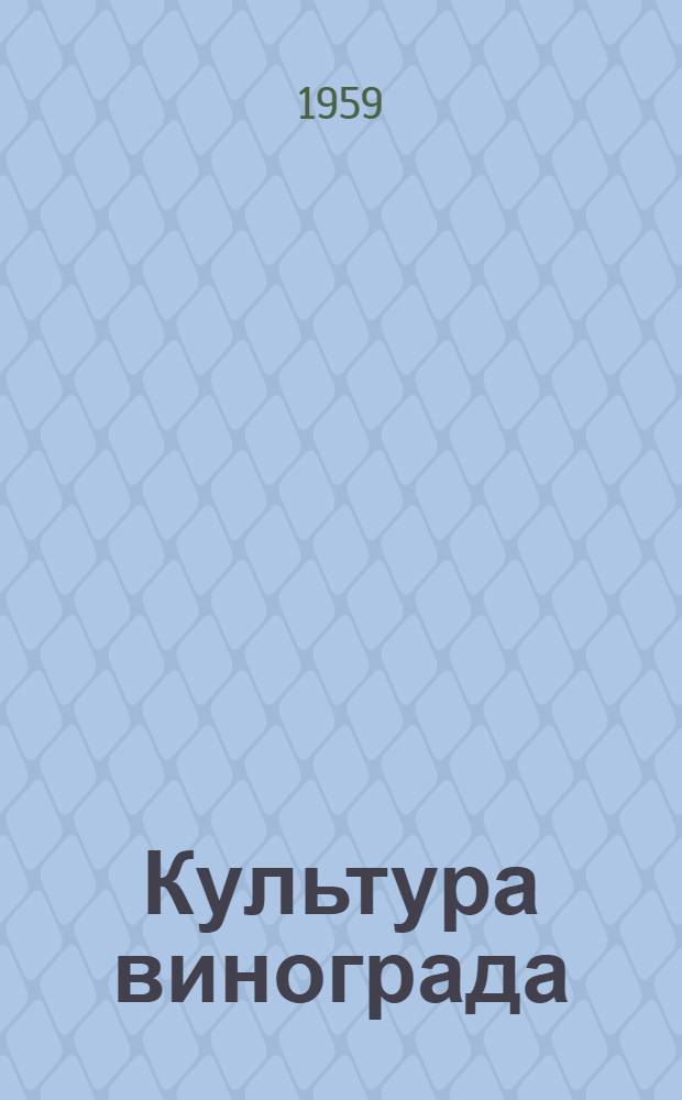 Культура винограда