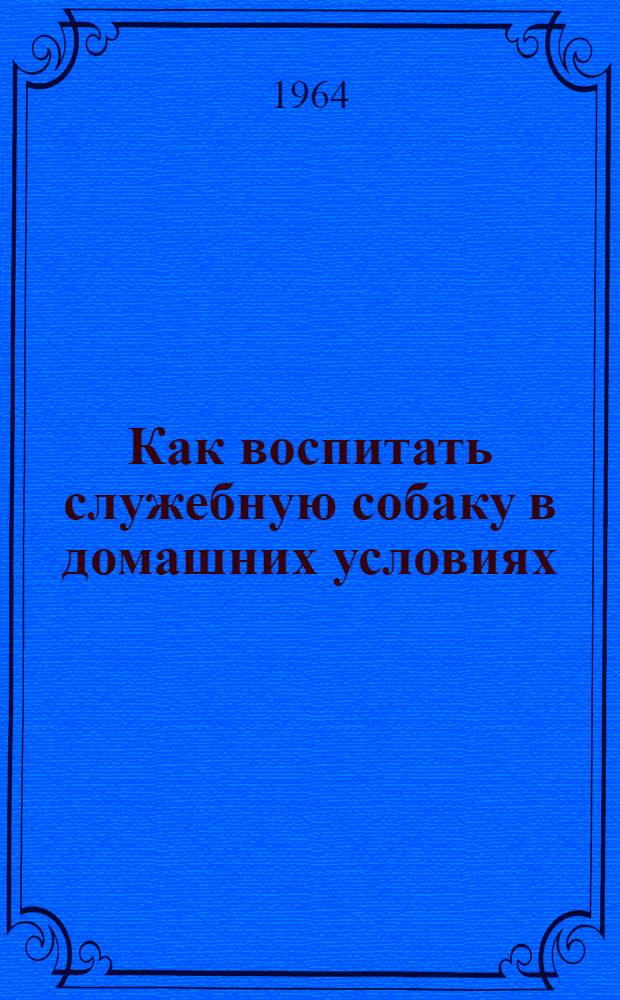 Как воспитать служебную собаку в домашних условиях